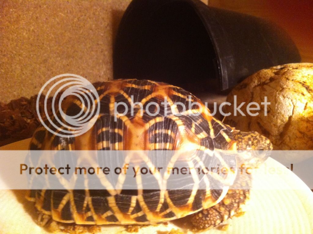 Posted Image