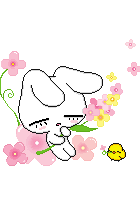 08926_6.gif