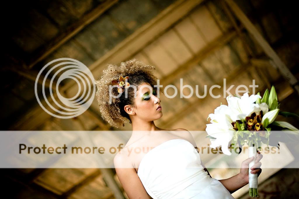 Photobucket Image Hosting