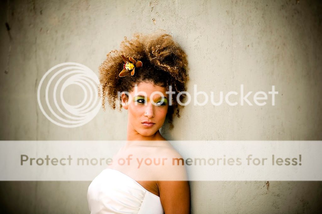 Photobucket Image Hosting
