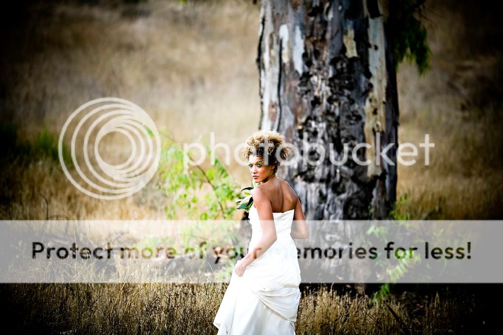 Photobucket Image Hosting