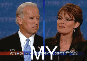 Porno Palin