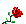 (rose)