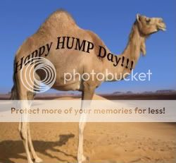 hump-day.jpg